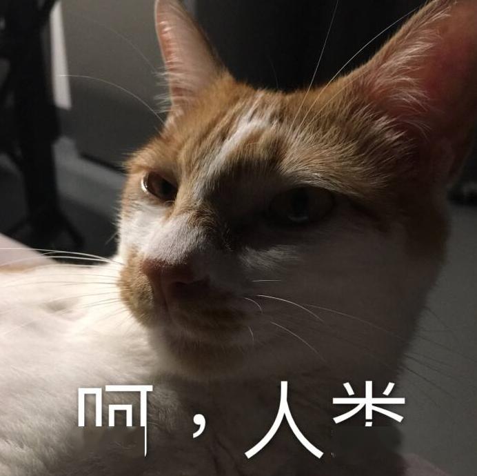 人可以吃猫粮吗？